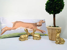Load image into Gallery viewer, Rabbit Lumbar Pillow

