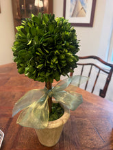 Load image into Gallery viewer, Preserved Boxwood Topiary
