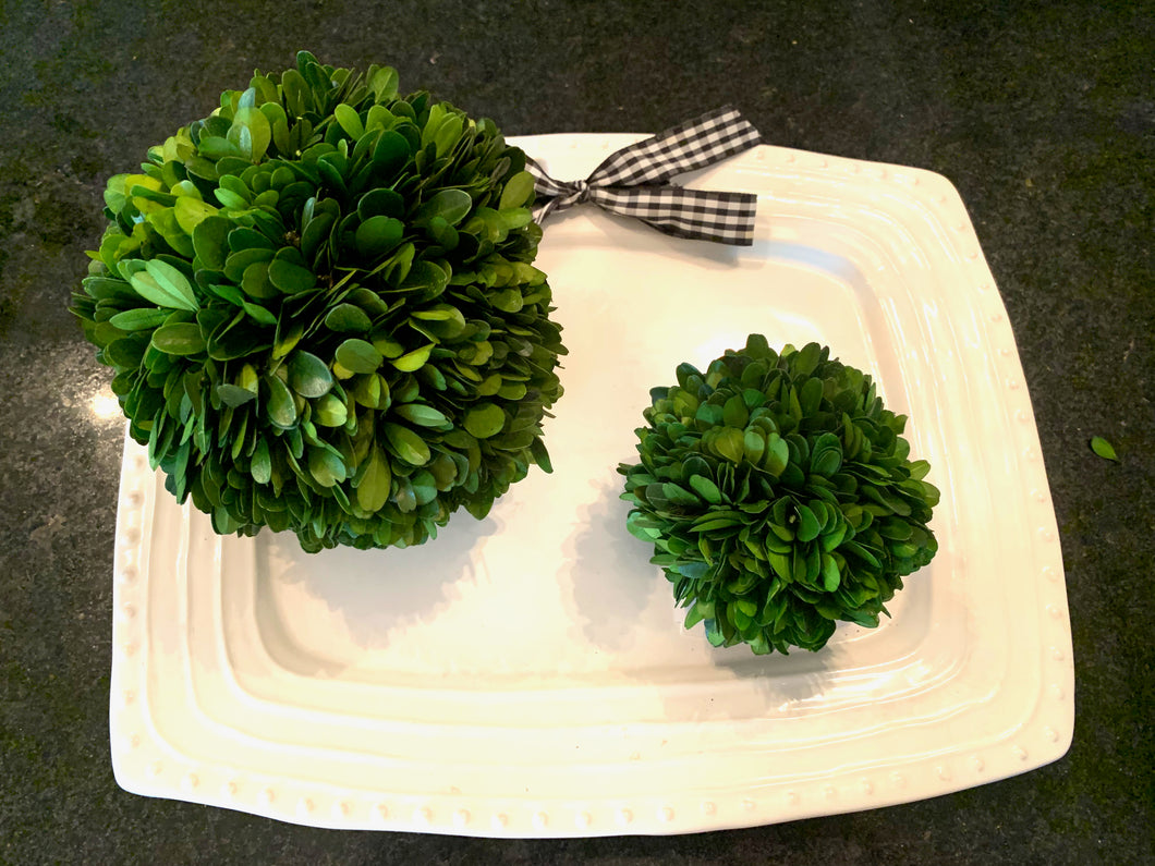 Preserved Boxwood Balls