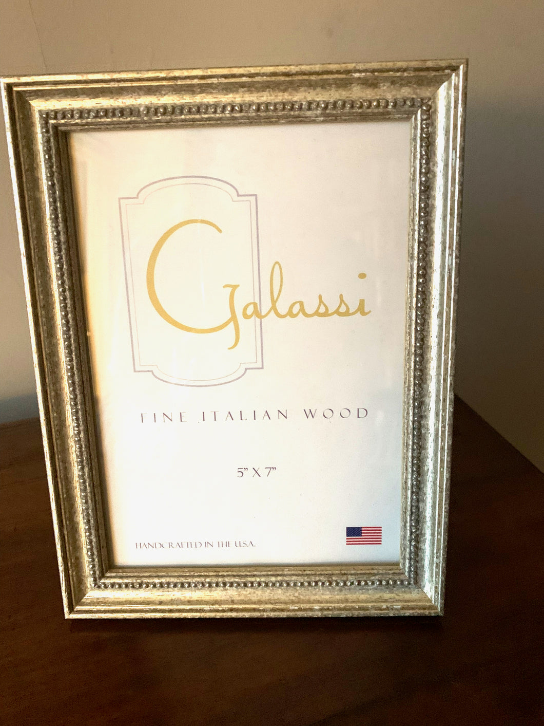 Brushed Silver Beaded Picture Frame