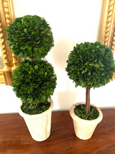 Load image into Gallery viewer, Preserved Boxwood Topiary
