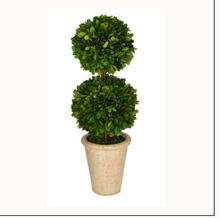 Load image into Gallery viewer, Preserved Boxwood Topiary
